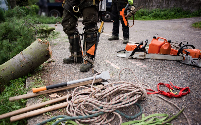 arborist equipment