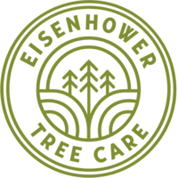 eisenhower logo green