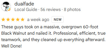 eisenhower tree care review 1