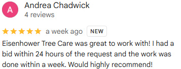 eisenhower tree care review 2