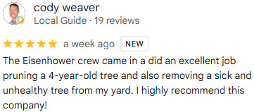 eisenhower tree care review 3