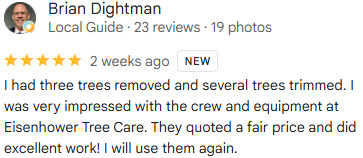 eisenhower tree care review 6