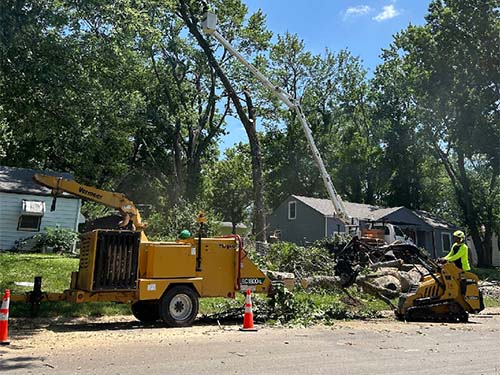 tree service company kansas city