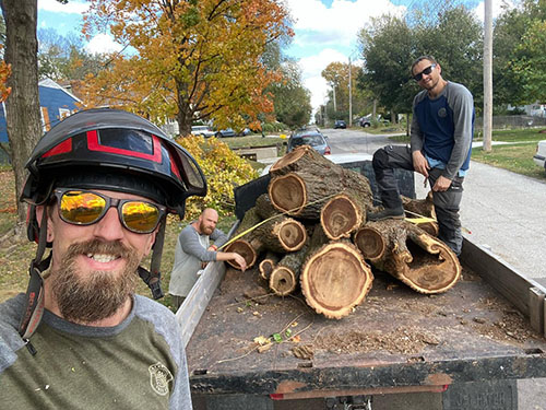 tree service in kansas city
