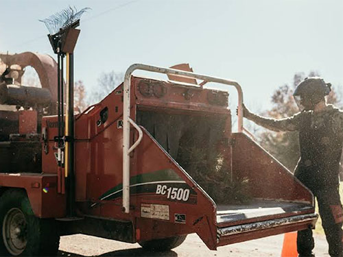 tree services kansas city